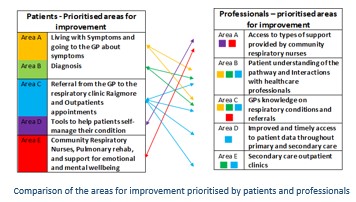Comparison-of-the-areas-for-improvement-prioritised-by-patients-and-professionals