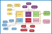 Digital Access paths
